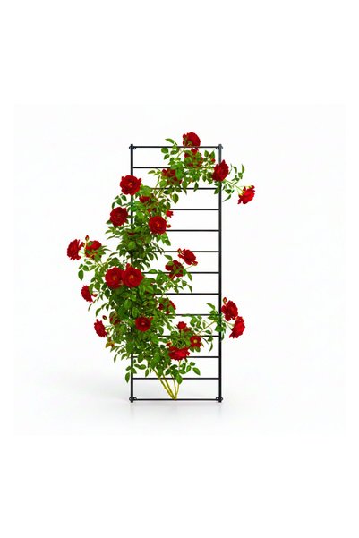 Relaxdays Spalier pentru flori Relaxdays, negru, 210x76x5cm, set disponibil