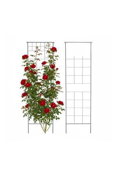 Relaxdays Set of 2 trellises Relaxdays, black, 193x1x58 cm