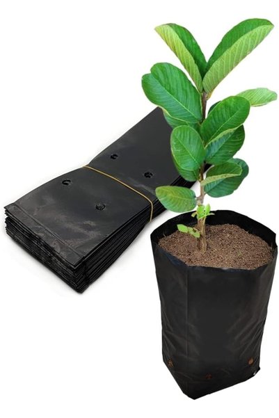 EXCEFORE 100 Pcs Plant Nursery Bags, Plastic Seedling Pots Container for Frui...