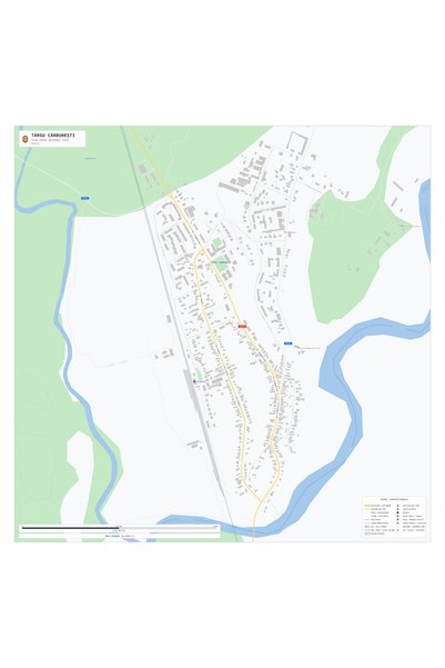 OEM Декоративна стенна карта Таргу Карбунешти, Ярък стил, 100x100 см, водоуст...