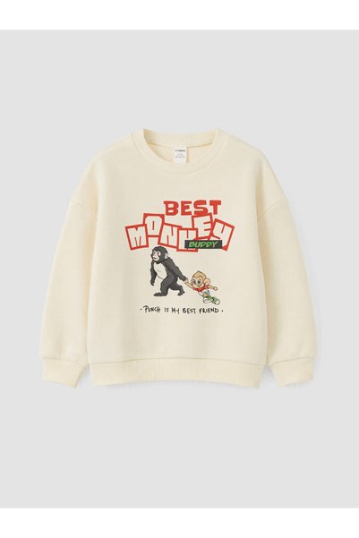LC Waikiki Ecru 3-Thread Printed Loose & Baggy Boys' Sweatshirt—The ALITA CIT...