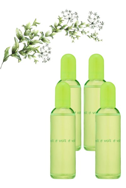 Colour Me 4 قطع Volt Perfume 100 مل