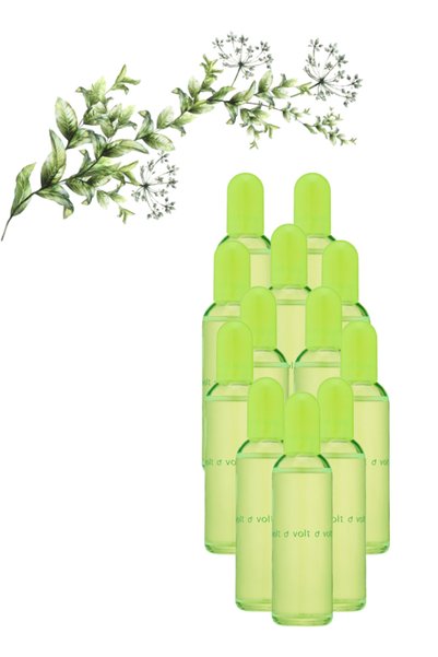 Colour Me 12 قطعة Volt Perfume 100 مل