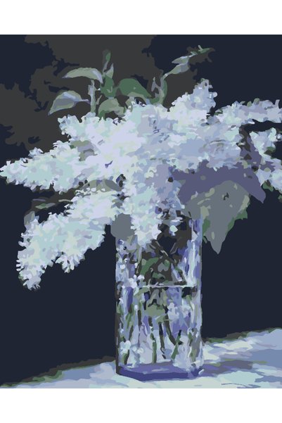 Painting-numbers Set pictura pe numere Liliac alb in vaza 3533, panza pe rama...