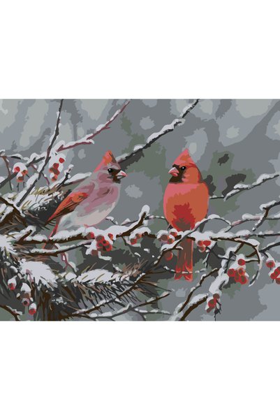 Painting-numbers Set pictura pe numere Pasari pe crenguta 3862, panza pe rama...