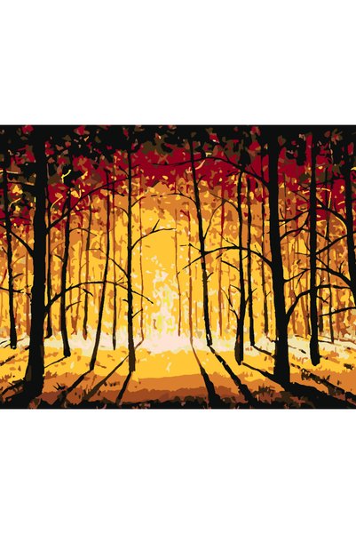 Painting-numbers Set pictura pe numere Peisaj de toamna 3744, panza pe rama l...
