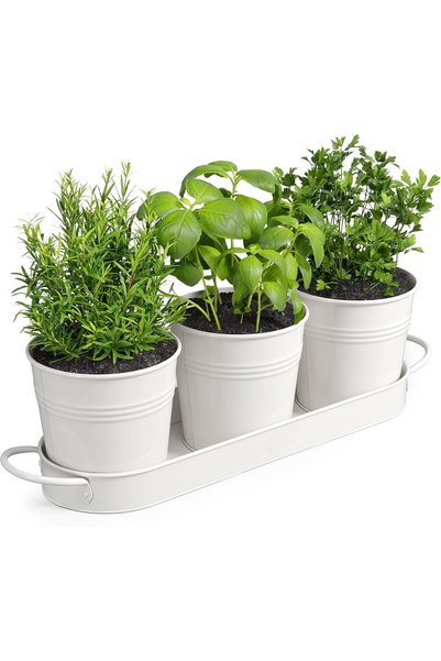 Generic مجموعة أحواض زراعة الأعشاب الداخلية مع صينية، مجموعة من 3 قطع، أوعية ...