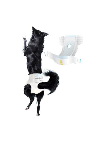 FONIX Absorbent Diapers for Dogs, HappyPaws, Adjustable, Ultra-Comfortable, A...