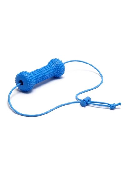 Choice Blue Durable Rubber Bone Dog Chew Toy, Teeth Cleaning Molar Toy, Oral ...
