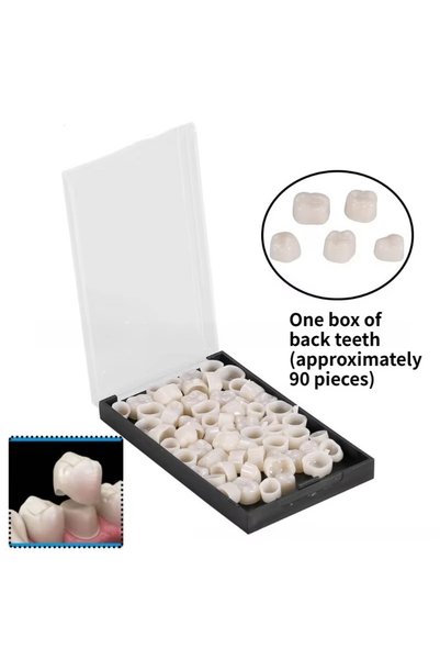 Choice back teeth New 60/90Pcs/Box for Oral Care(Front Teeth Back Teeth)Porce...