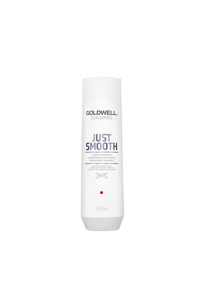 GOLDWELL Dualsenses Just Smooth – Shampoo That Controls Frizz and Leaves Hair...