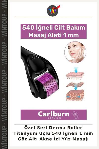Wintoup Special Edition Derma Roller with Titanium Tips, 540 Needles, 1 mm, f...