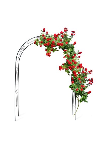 Relaxdays Arcadă de grădină metalică pentru flori cățărătoare, verde închis, ...