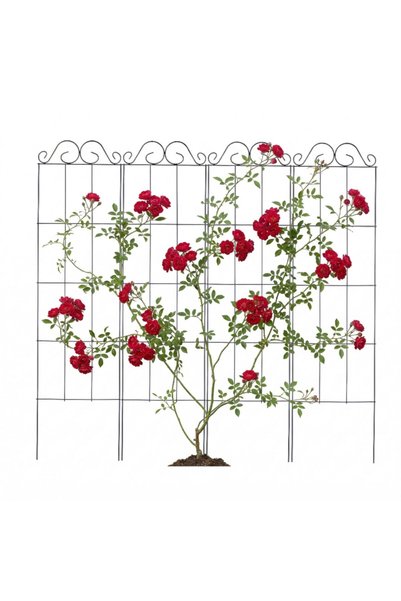 Relaxdays Set de 4 suporturi pentru plante Relaxdays, metal, negru, 116x0.5x3...