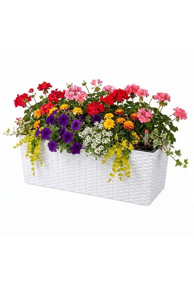 Relaxdays Ghivece cu indicator de nivel al apei, alb-negru, 30x15x12cm