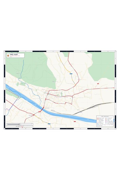 OEM Harta decorativa pentru perete Târgu Neamț, Stil Clasic, 125x90 cm, PVC r...