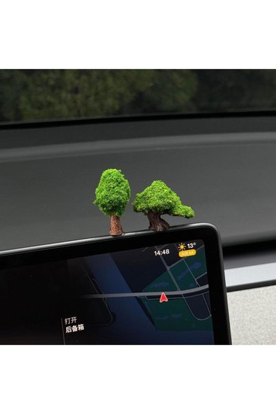 Choice 2pcs 2/3/4Pcs Natural Fresh Odorless Large Green Fortune Wishing Tree ...
