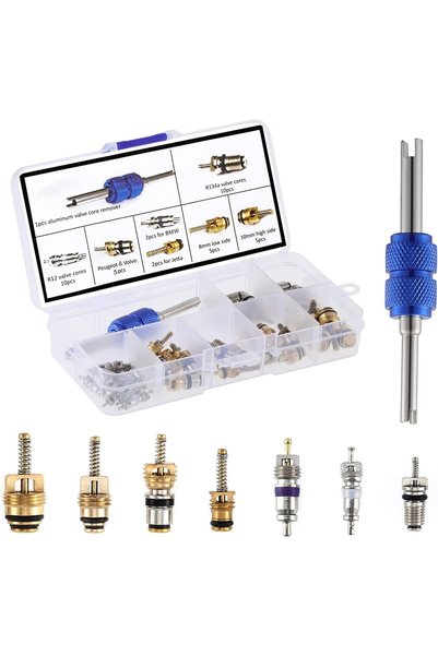 Choice 40pcs Car A/C Repair Kit R12 R134a Refrigeration Tire Valve Stem Cores...