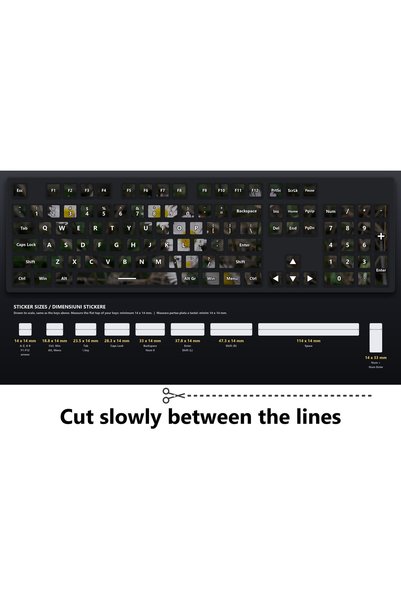 OEM Stickere Tastatura Set Petic de Margarete Salbatice, Layout US Fara Diacr...