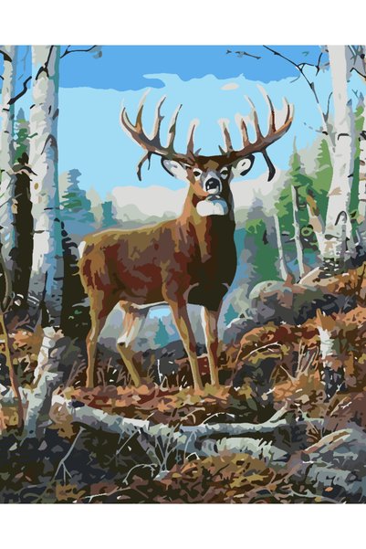 Painting-numbers Set pictura pe numere Cerb in padure 3760, panza pe rama lem...