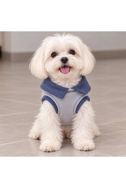 Kedi Köpek Çapraz Yakalı Süveter