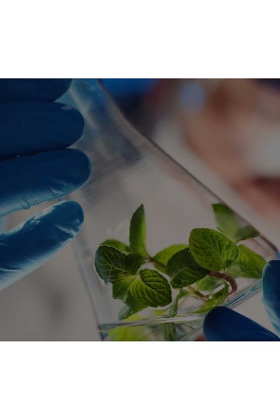 DoTERRA Setul de produse exclusive de toamnă 2026