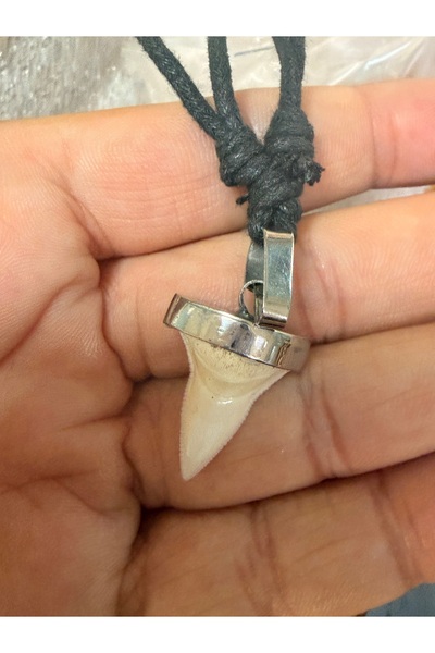 gemsartdeco Shark tooth necklace - real shark tooth
