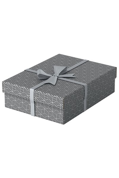 Esselte ΚΟΥΤΙ ΑΠΟΘΗΚΕΥΣΗΣ ΜΕ ΚΑΠΑΚΙ 36 x 26 x 10 ΕΚ. ΓΚΡΙ ΑΝΑΚΥΚΛΩΜΕΝΟ