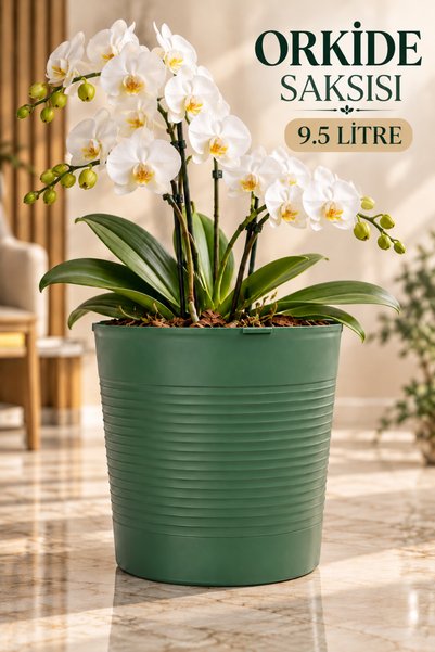 Plant Home Power Mix (BÜYÜK BOY SAKSI .)Yeşil 9.5 Litre Dekoratif Bitki Saksı...
