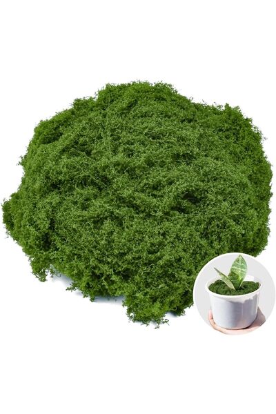 Generic Artificial Green Moss 100g – Faux Decorative Moss for Crafts, Fairy G...