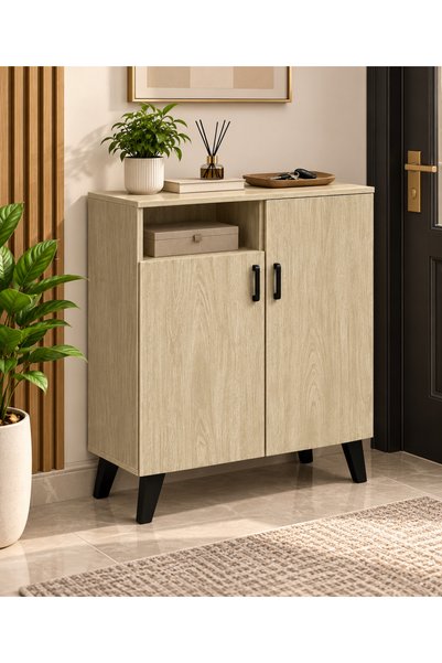 N.zone Modern Shoe Cabinet Versatile Stylish Design with Two Doors and Interi...