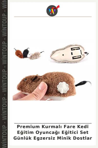 Wintoup Premium Wind-Up Mouse Cat Training Toy for Daily Exercise for Your Li...