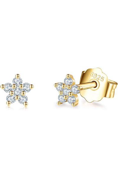 Generic Sterling Silver Stud Earrings for Women Men, 4mm Flower Cubic Zirconi...