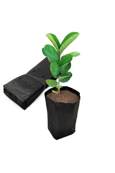 X SPRING Plant Nursery Bags, 100PCS Breathable Non Woven Grow Bags Durable Tr...