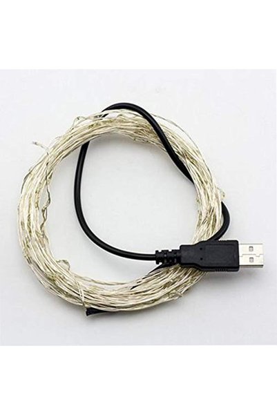 Generic Waterproof USB LED Silver Copper Wire String Light (5V, 10m, 100 Lights)