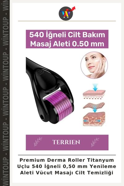 Wintoup Premium Derma Roller with Titanium Tips, 540 Needles, 0.50 mm, Skin R...