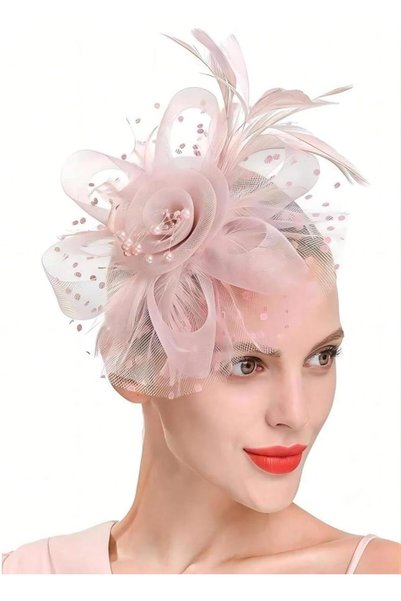 Generic Fascinators Hat, Flower Mesh Ribbons Feathers, Veil Headband with Hai...