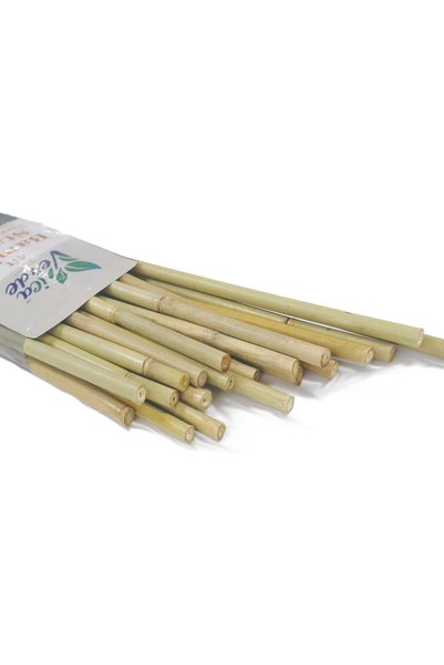 GENERAL Natural Bamboo Stakes for Plants (25-Pack), 4 Feet Eco-Friendly Garde...