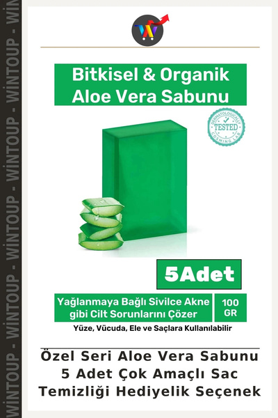 Wintoup Special Edition Aloe Vera Soap, 5-Pack: Multi-Purpose Hair Cleansing ...