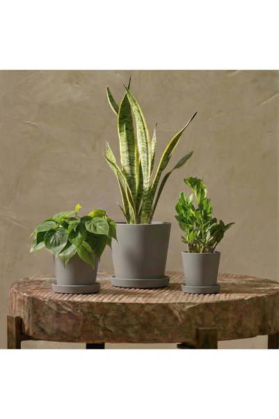 Bamworld Plant Pots Indoor Planters for Outdoor Plants Flower Pots Plastic Po...
