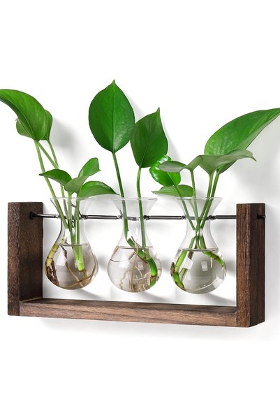 GENERAL YIBOT Wall Hanging Planter Propagation Station,Plants Lover Gifts for...