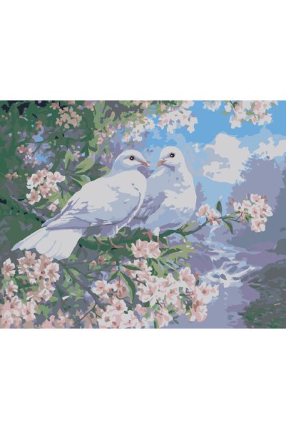 Painting-numbers Set pictura pe numere Hulubi albi indragostiti 3536, panza p...