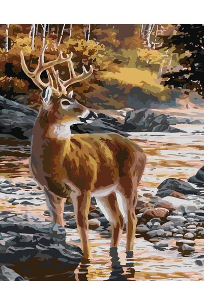 Painting-numbers Set pictura pe numere Cerb in padure 3763, panza pe rama lem...