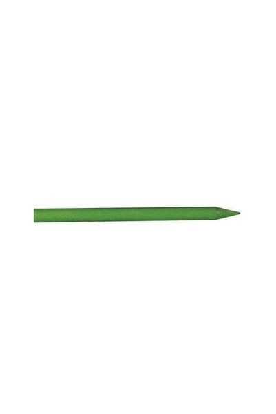 WISDOM Suport/arac pentru plante, rosii, fibra de sticla, verde, 0.7x100 cm, ...