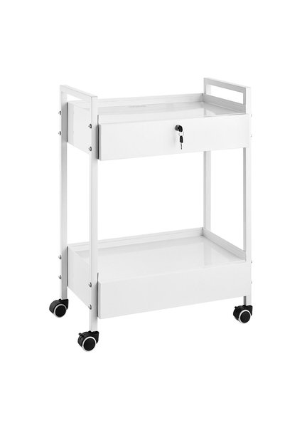 VEVOR Lab cart, Material: steel, Model number: K-SH004, Number of shelves: 2,...