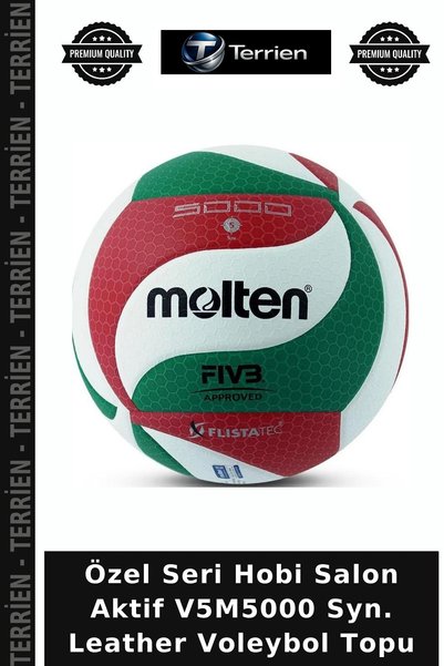 Terrien Özel Seri Hobi Salon Aktif V5M5000 Syn. Leather Voleybol Topu