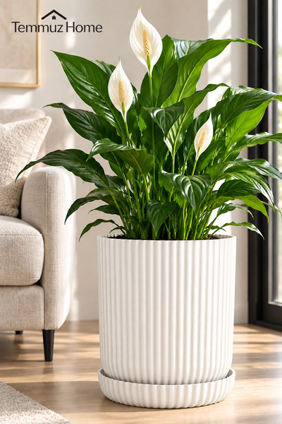 TEMMUZ HOME 10,5 Litre Lotus Tabaklı Dekoratif Çiçek Saksısı – Modern Çizgili...