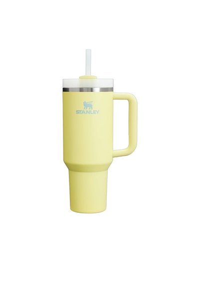 Stanley Quencher H2.O Flowstate Tumbler Thermos with Straw |   1.18L 10-11673...