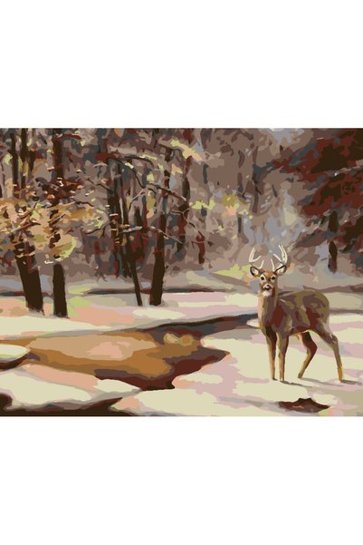 Painting-numbers Set pictura pe numere Cerb in padure 3917, panza pe rama lem...