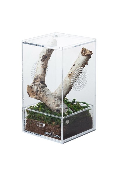 Repti-Zoo TERARIU DIN ACRIL PENTRU CREȘTEREA INSECTELOR-BĂȚ, PATTIS, INSECTE-...